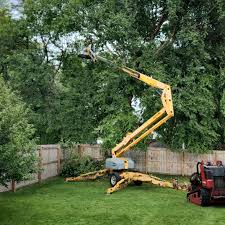  Spring Lake, NC Tree Services Pros